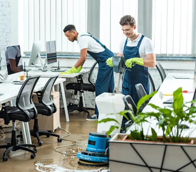 Professional-Cleaning-Img